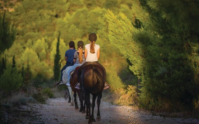 Amazing Home in Palje Brdo With Wifi and 3 Bedrooms