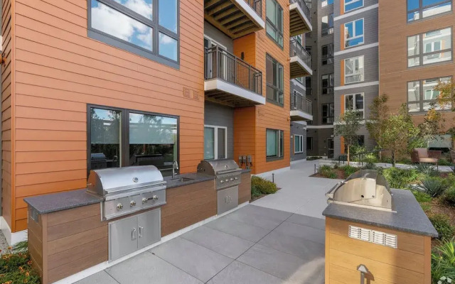 Luxury Apartments by Hyatus Boston Somerville