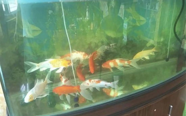 Harbin Shunhang Hotel