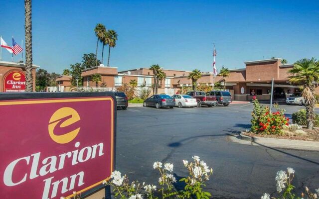 Clarion Modesto