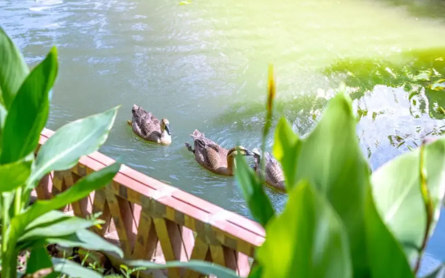 Tràng An Sunny Homestay