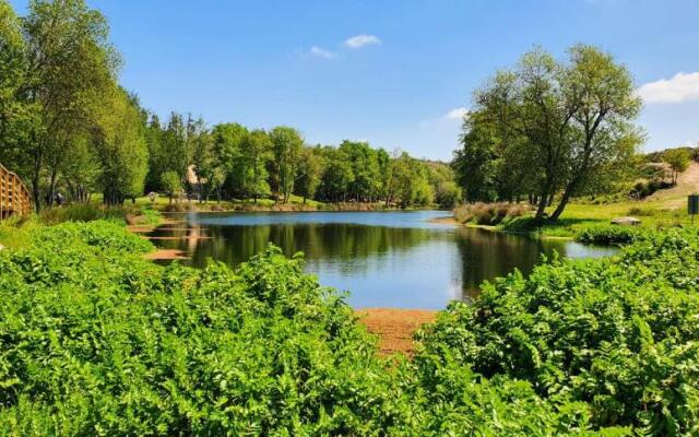 Azevinho Guest House