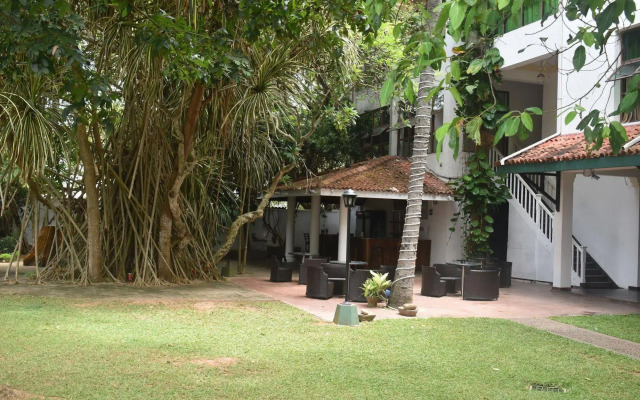 Palms, Mount Lavinia