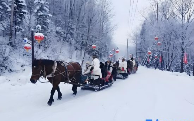 Snow Valley Red Army Inn