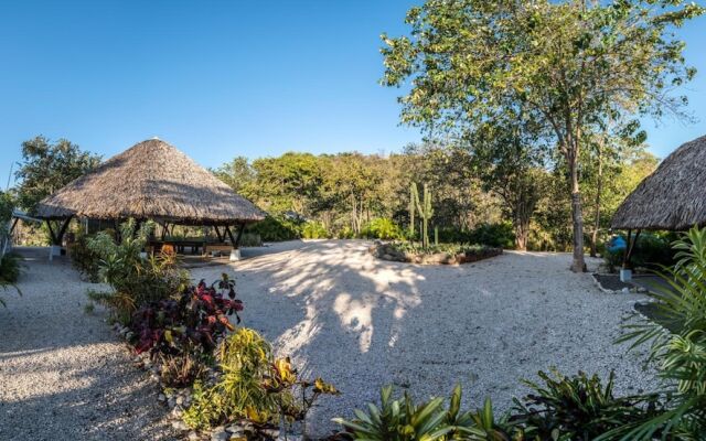 Mikado Natural Lodge