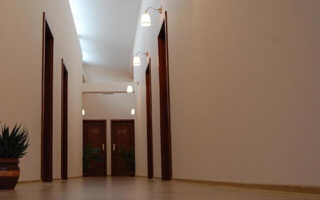 Hostel Paltinis