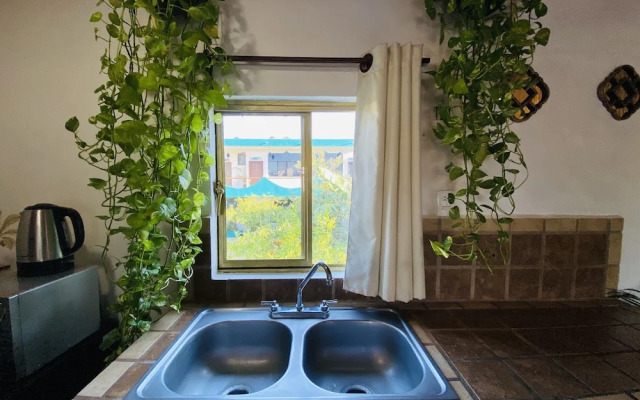 CABO BOHEMIA Tropical Garden Studios