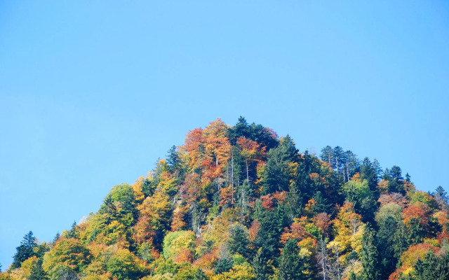 Gästehaus Schröder