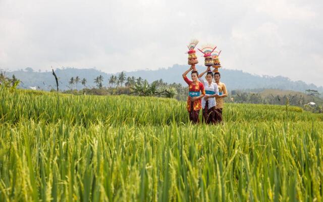 Kelapa Retreat & Spa