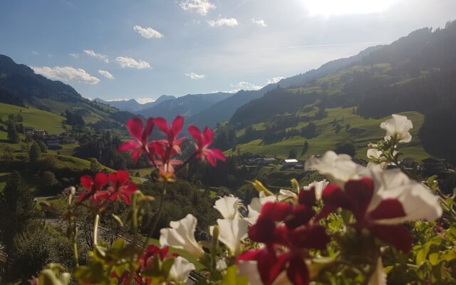 Hotel & Chalet Dorfer