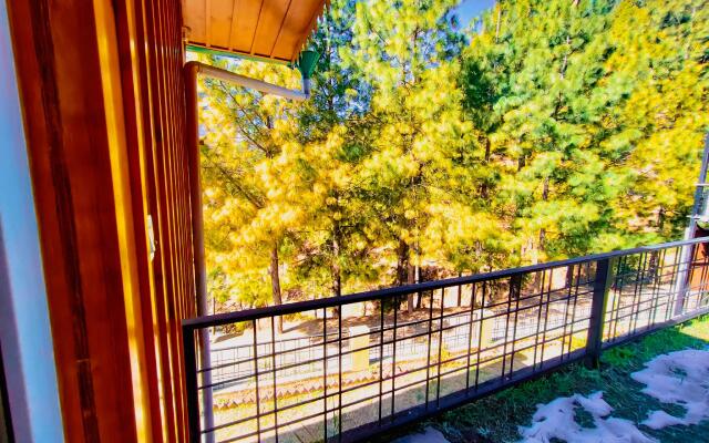 The Himalayan Living Whistling Pines
