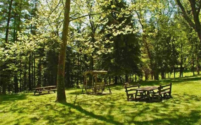 Unique and Secluded Country Estate Near Pittsburgh