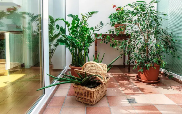 Guesthouse Castello di Brusata