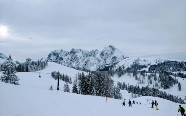 Pension Edelweiss Top 25