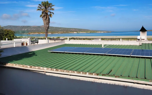 Klopdisselboom Langebaan 10-sleeper