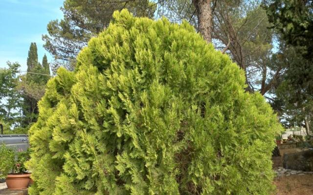 The Papavero Apartment-Appartamento Papavero