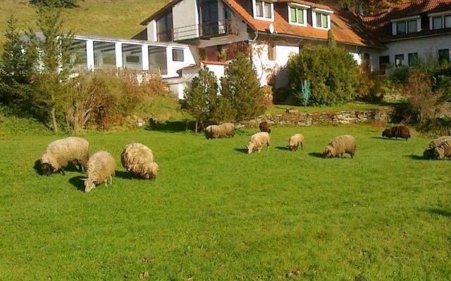 Villa in Bechyne With Private Pool and Sauna