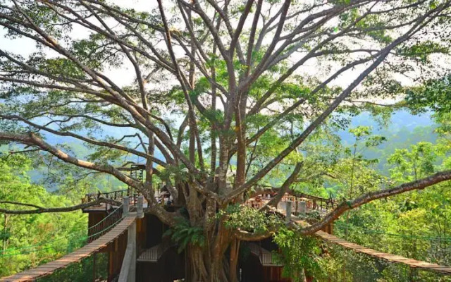 The Giant Chiang Mai Hotel