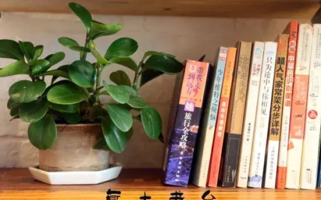 Shenzhen Dapeng Liuli Boutique Hostel