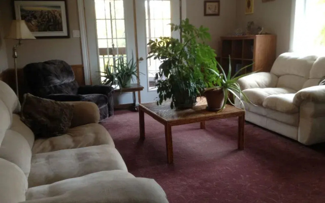 The White Rabbit B&B