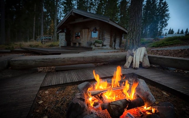 Koivulahden Rapukartano