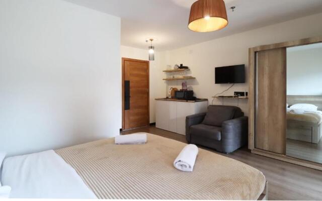 Bright Studio Apartment in Marshall Gudauri