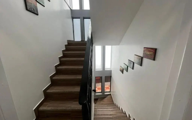 Flightless Cormorant