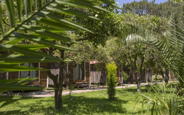 Likya Evleri Olympos - Adults Only