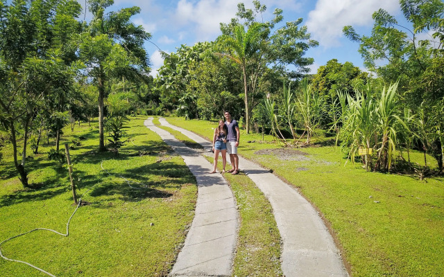 Essence Arenal Spa & Yoga