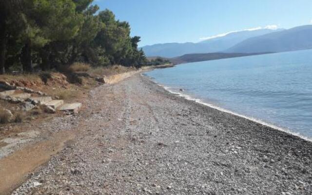 Elea Guesthouse