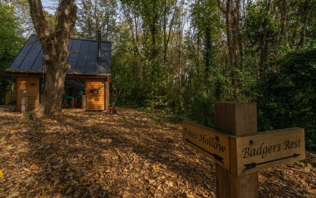 Alfriston Woodland Cabins - Foxes Hollow-hot Tub