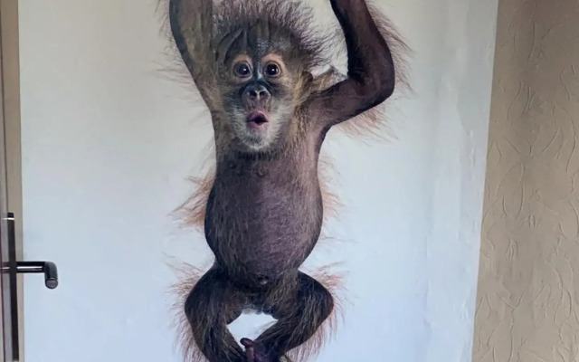 Rhein - Mosel Quartier 4