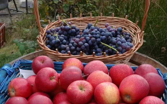 Alpenhof