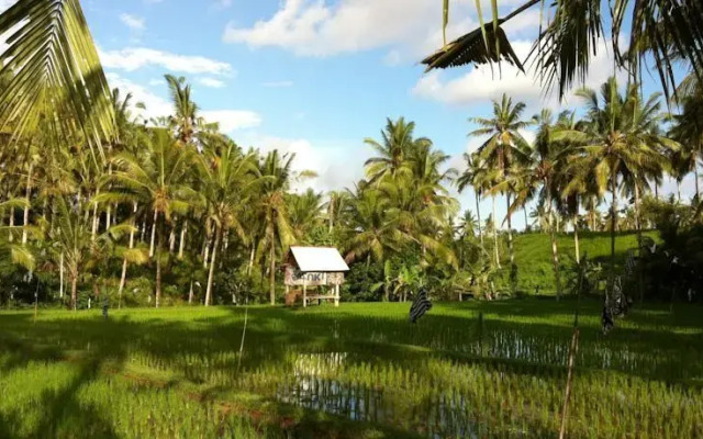 The Djoyo Bed & Breakfast