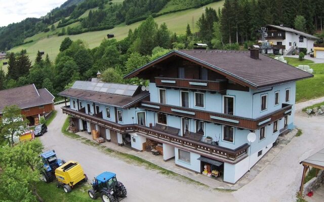 Spacious Apartment in Mittersill near Ski Points