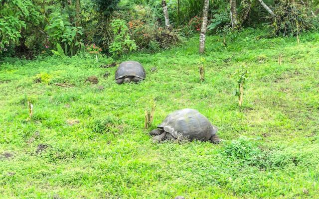 Semilla Verde Boutique Hotel