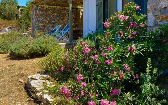 Villa Handras, 2 unità