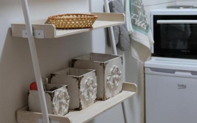 Luxury Cozy Large Apartment in the City Center