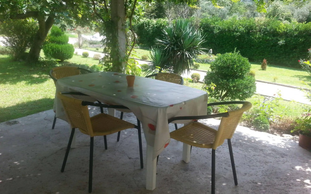 Apartmani Petkovic