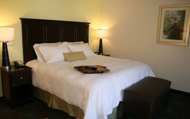 Hampton Inn & Suites Wilder