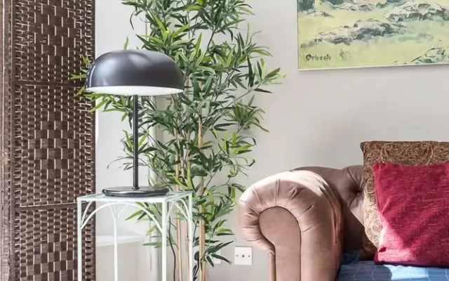 Bright Two BR Period Apartment in Whitechapel