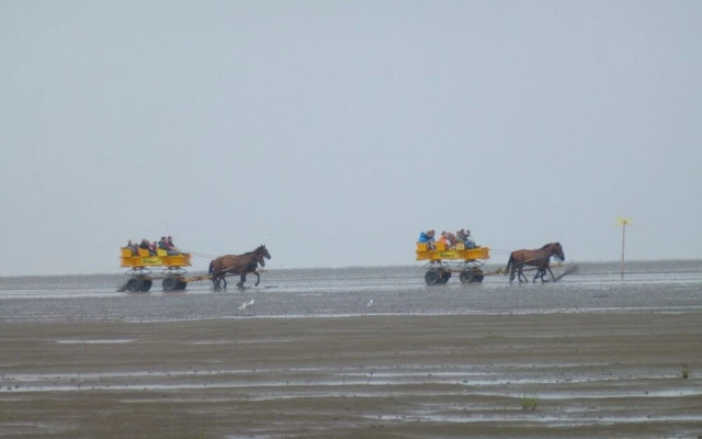 Haus DÃ¼nenglÃ¼ck