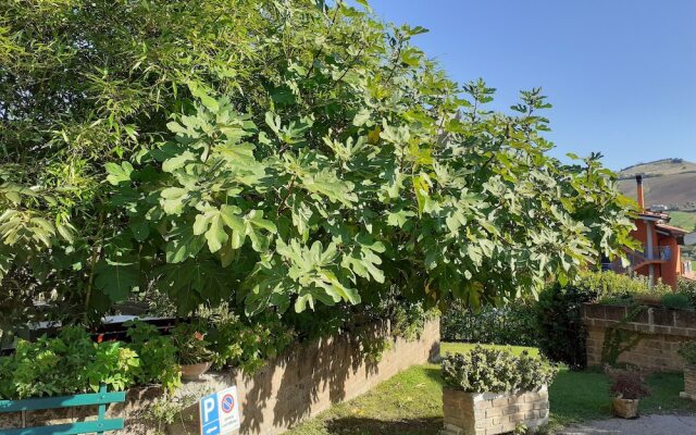 Pier delle Vigne B&B