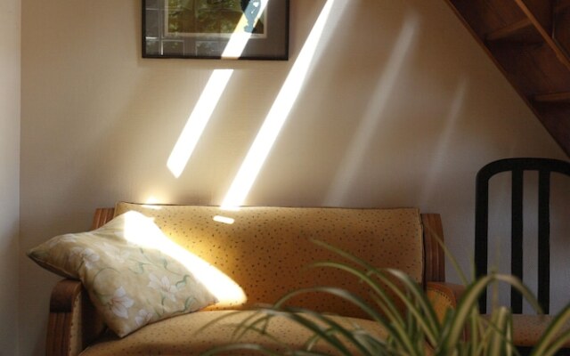 Rosa Enia - 2 Pieces N2