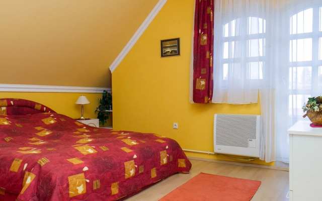 Thuja Balatonm Riaf rd