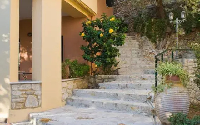 Traditional House Star