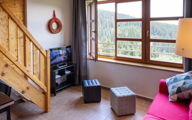 Cihlarka Mountain View Apartment