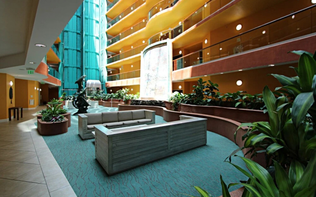 Caribe
