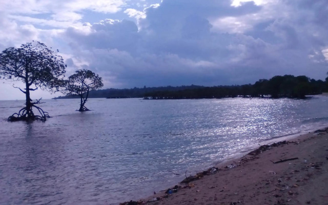 Coconhuts Beach Resort-Neil Island