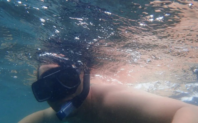 Walai Penyu Resort - Campground